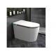 Automatic Sanitary Ware Items , Black Bathroom Wc Intelligent Ceramic Toilet Bowl
