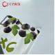 Customized Doypack Zipper Dried Fruit Food Package Pouch Peanut Walnut Bag Pine Peanuts Mixed Cashew Nuts Packing Bag