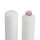10 Pp Pleated Membrane Filter Cartridge For Water Treatment And Fine Chemicals