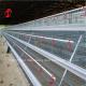 120 Chicken A Type Layer Battery Cage Of Poultry Equipment Mia