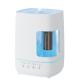 3 In 1 Large Capacity Humidifier 1300ml With Night Light