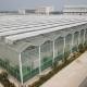 Full Set of Agricultural Greenhouses with Galvanized Skeleton and Easy to Install