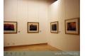 Three artists from Shenzhen Special Economic Zone hold an exhibition