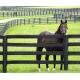 6ft Fiberglass Horse Fence Fiberglass Reinforced Plastic Livestock Fencing