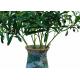 Highly Simulated Decor Artificial Tree Branches , Plastic Tree Branches