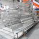 Silver Cold Galvanized Layer Chicken Cage Steel Frame For Farm