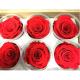 Ecuador preserved fresh roses long lasting high end rose buds for flower box gift