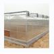 Super Strong Resistance Polycarbonate Greenhouse Full Set for Commercial Agriculture