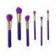 6 Pieces Essential Brush Set High Quality Finish Purple Color