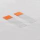 ISO CE FDS Prepared Orange Microscope Slides Cover Slips