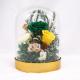 100% Real Rose Flower In Glass Dome With No Maintenance Required