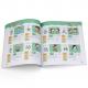 Softcover Full Color Customized Children Learn To Read Book Printing