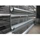 High Strength Chick Rearing Cage H Type Layer Cage  For Poultry Farm