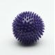 Unique Spiky Durable TPR Dog Toy Squeaky Thrower Plastic Dog Ball