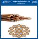 Ground Rod Copper Clad Steel Conductor Wire Bare Ground CCS Electric Stranded Wire ODM OEM