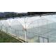 Hanging System Tomato Plant Greenhouse Cover Material Plastic Film 0.12 / 0.15 / 0.20mm