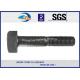Square Railway Bolt DIN ASTM Standard HDG M20 M22 M24 M30 Steel Bolts And Nuts