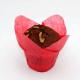 Nice solid color baking tulip cup/lotus cup