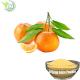 Vitamin C Fruit And Vegetable Powder Orange Fruit Juice Light Yellow