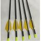 .165(4.2mm) spine 600/800/1000/1200 Youth/Beginner/Starter Arrows with 70grs points and 1.75/2 vanes/feathers Fletched