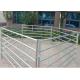 1.5 X 2.1 M Cattle Yard Panels , Metal Cattle Panels Galvanized / Pvc Coated For Farm