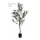 120CM Decoration Artificial Olive Tree With Fruits For Reception , Gift , Display