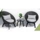 EN581 Aluminum Wicker Chair Kd Two Chair And One Table Garden Rattan Set