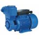 Precision Casting Motor Housing Domestic Electronic Water Pump 1HP/0.75KW TPS  Series