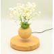 new round base magnetic floating levitate planter tree air bonsai pot flower