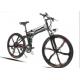 Customized UL Adult 350 Watt 26 Inch Folding Electric Bike