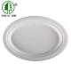 FDA Disposable Oval Restaurant Serving Trays Bagasse Environmental Disposable Plates