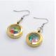 New Fashion 316L Stainless Steel Floating Charm Memory Living Locket Earrings