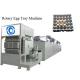 Molding Heavy Pulp Egg Tray Machine 3000 Pieces/H Paper Tray Making Machine