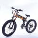 21 Speed Off Road Ebike , Snow Electric Mountain Bicycles Fat Tire 26 Inch