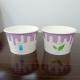 10000 Biodegradable Ice Cream Cups for Oem Design and Quantity