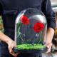 2021 New In Christmas Preserved Rose In Glass Dome  Rose With Curving Stem In Glass Bell rose gift