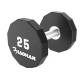 Durable Gym Fitness Dumbbell / Gym Accessory PU Dumbbell Color Optional