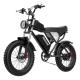 1000W Fast Charging 20 Inch Electric Bike With Removable Battery 7 Speed