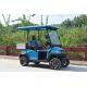 Fuel Type Electric Golf Vehicle  / 2 Seater Golf Buggy 1 Year Warranty