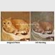 Cat Portrait Oil Painting Hand - Painted With Texture Turn Your Photo Into A