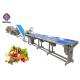 SUS 304 SS Material Frozen Vegetable Production Line For Food Distribute Center