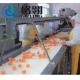 Automatic Control Orange Juice Complete Processing Line  Big Capacity