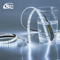 IP65 Waterproof LED Swimming Pool Lighting 12V/24V Tape Light with Flexible Dotless