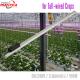 660nm 60Hz Small Greenhouse Grow Lights Anodizing For Indoor Plants