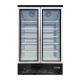 Double Swing Stand Up Glass Door Freezer R290 Refrigerant Ventilated Cooling System