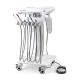 Light Weight Mobile Dental Trolley With 5 Universal Wheels Portable Dental Treatment Carts