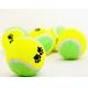 mini dog playing tennis balls