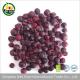 Halal food chinese freeze dried black currant from ISO certified company