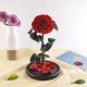 Forever Real Rose Everlasting Flower Preserved Fresh Flower Live Enchanted Rose in Glass Dome Cover with Gift Box rose