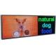 Graphics Text Showing Outdoor LED Window Signs Digital P5 RGB